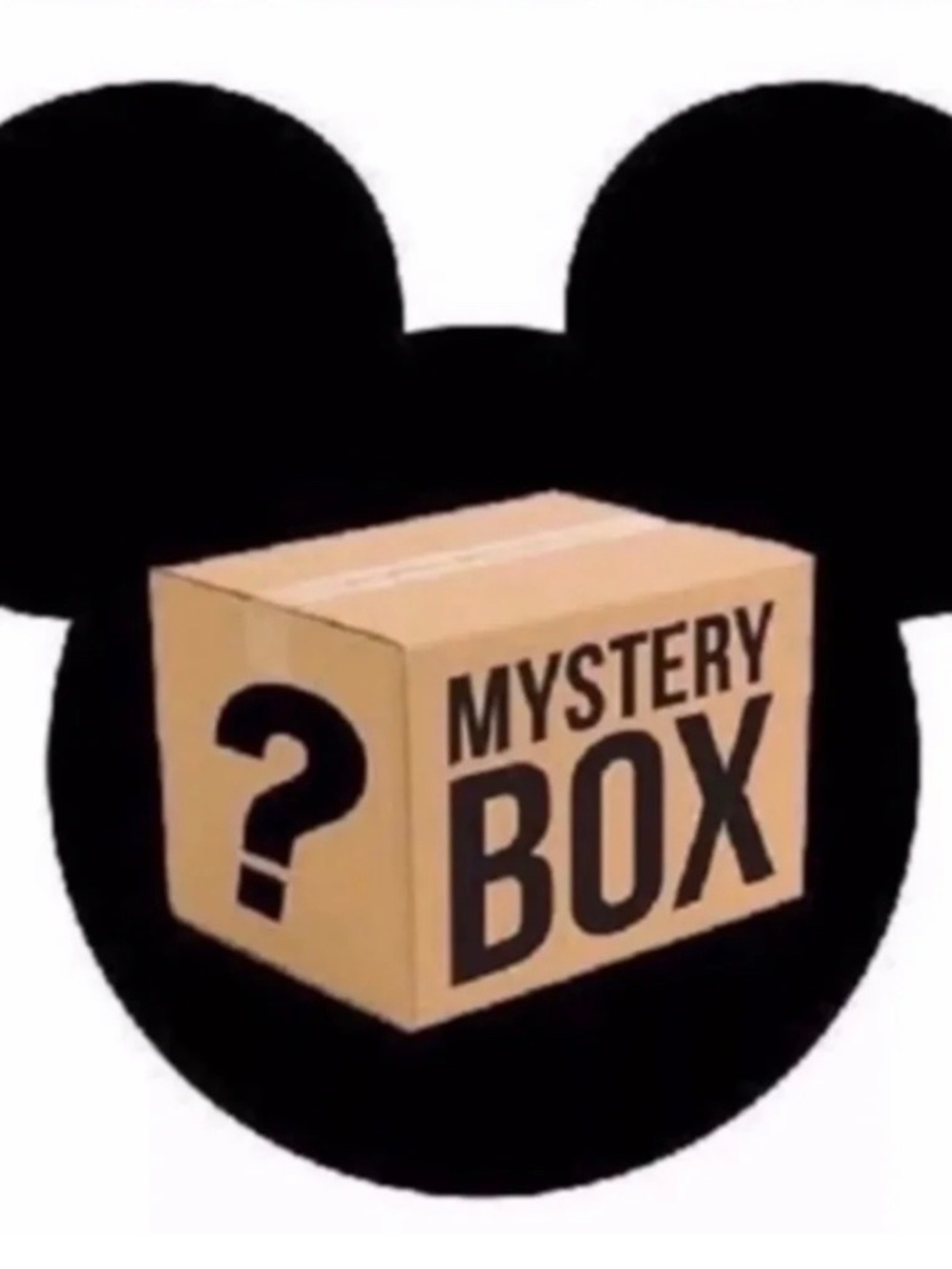 Disney mystery box